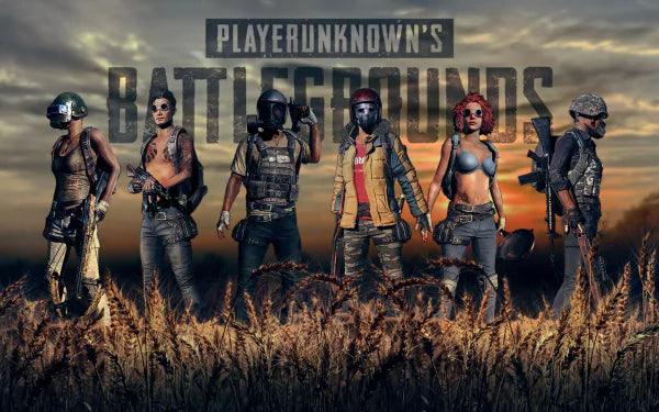 Playerunknown's Battlegrounds PUBG The One Edition Steelbook | GameCaseBox - Game case